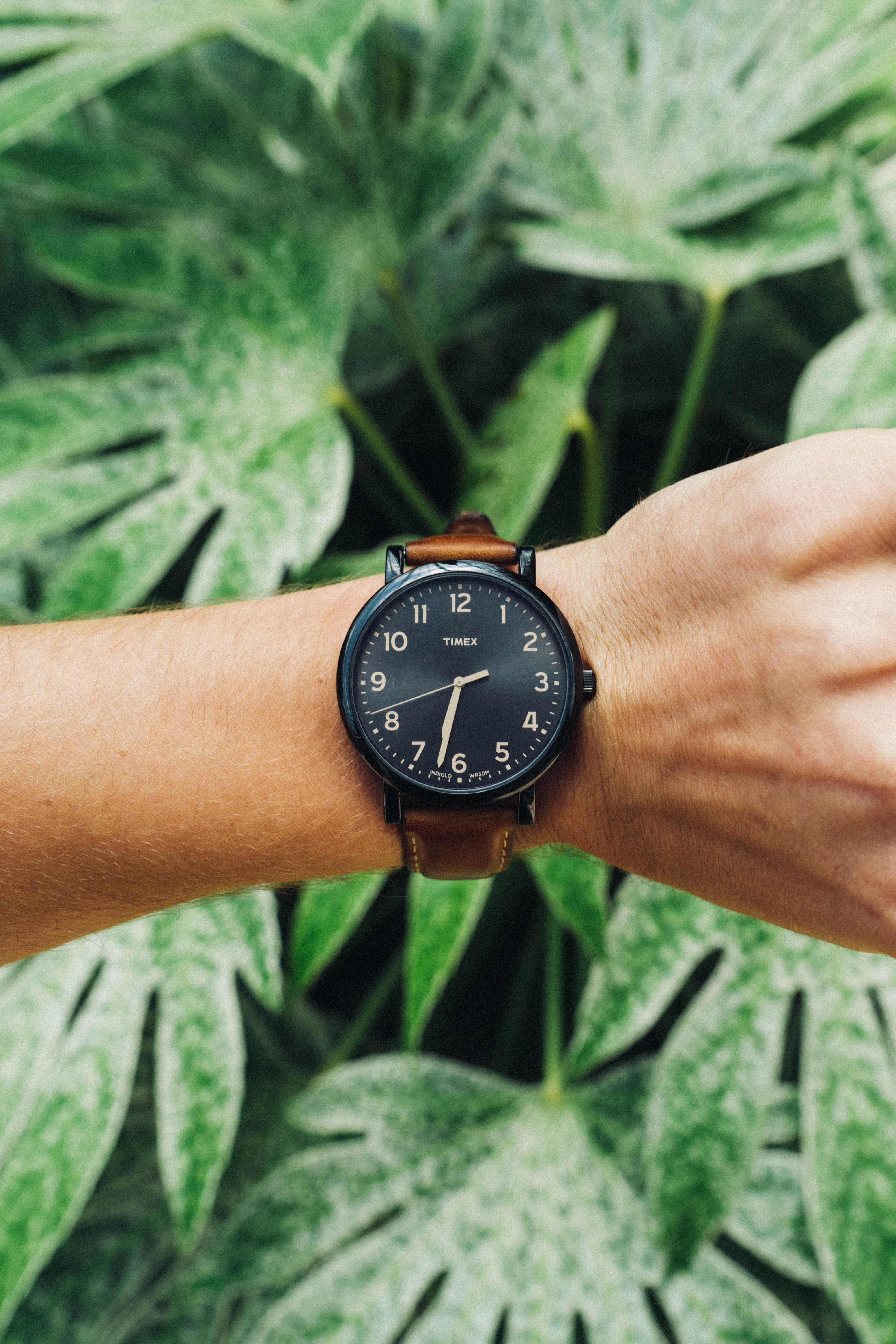 Ctesiphon Quartz Watch
